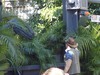 2021-11-26 to 2021-12-01 Disney Springs and Universal 121